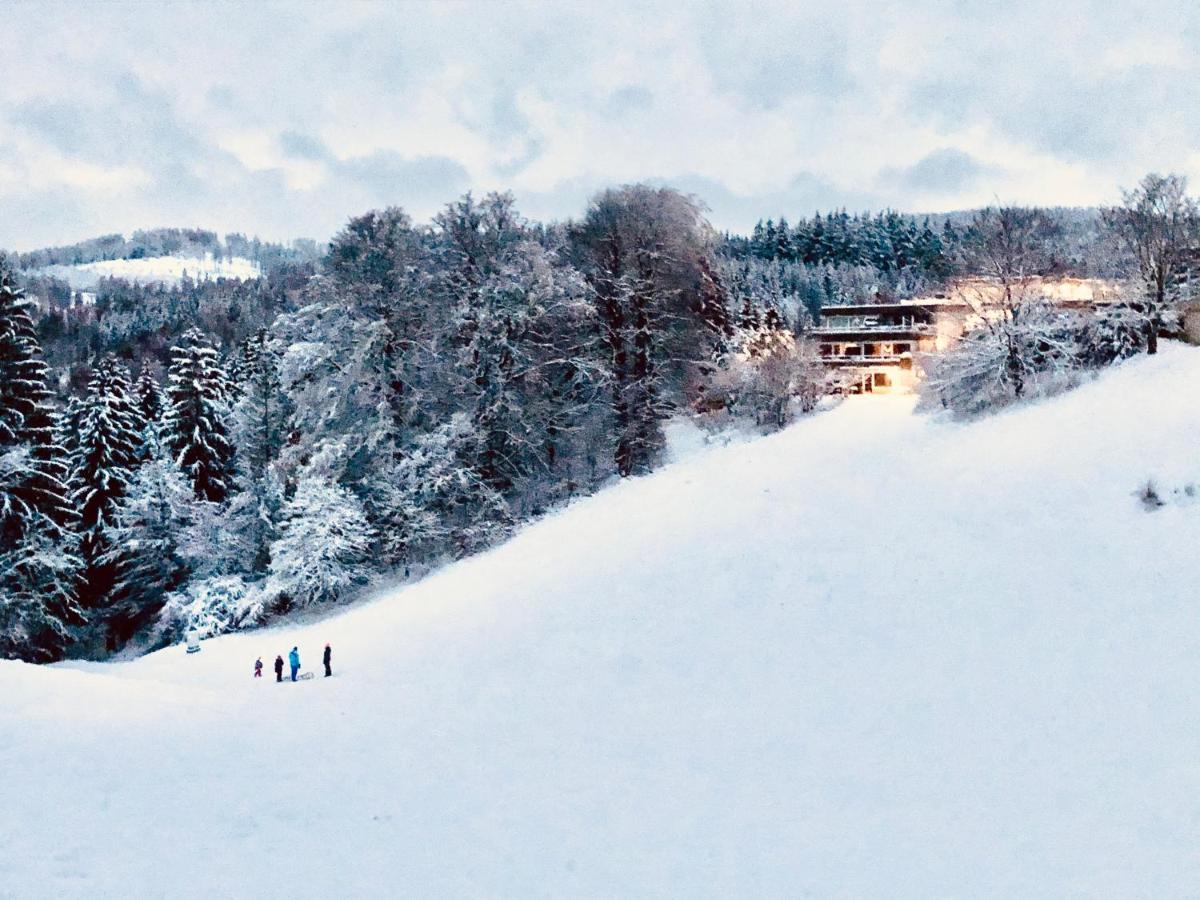 Ferienwohnung App 365 Panoramic Hohegeiß mit WLan Braunlage Exterior foto